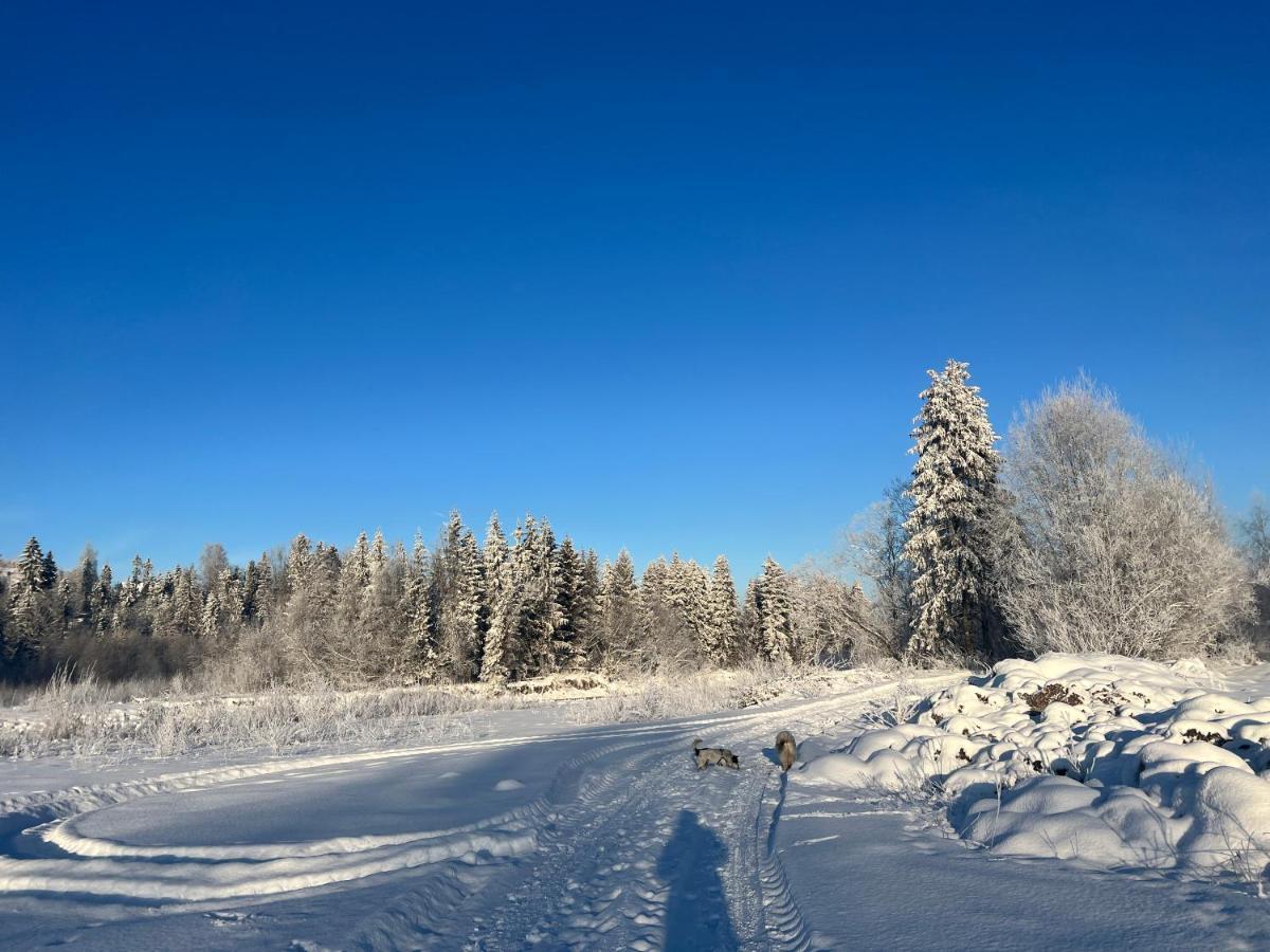 Pokoje U Danusi Czarna Góra Extérieur photo