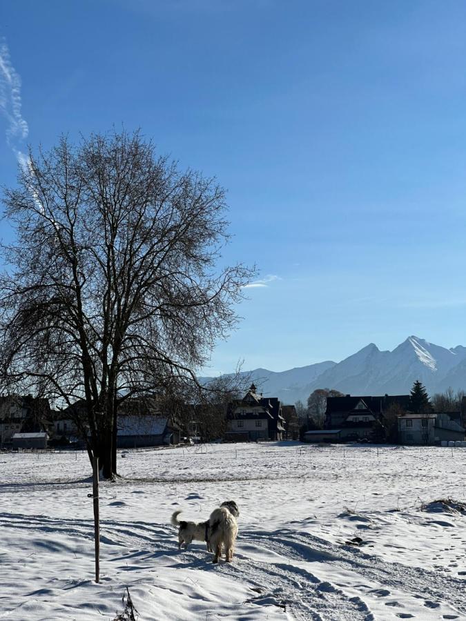 Pokoje U Danusi Czarna Góra Extérieur photo